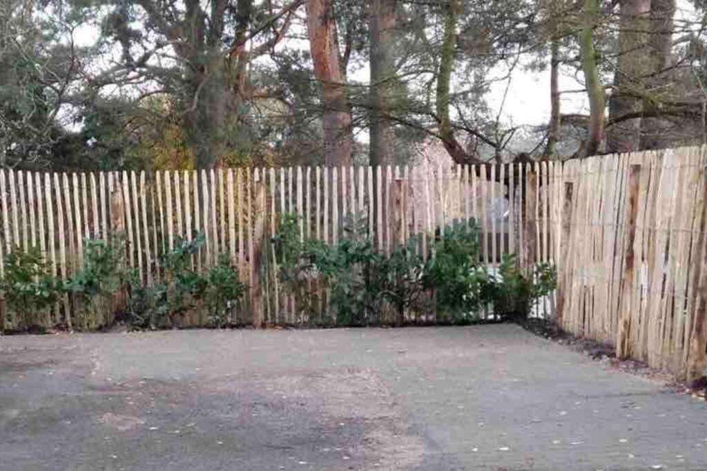 Ferienwohnung Green Garden Berlin Zewnętrze zdjęcie