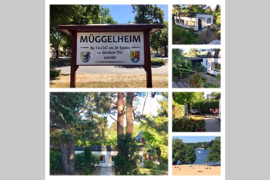 Ferienwohnung Green Garden Berlin Zewnętrze zdjęcie